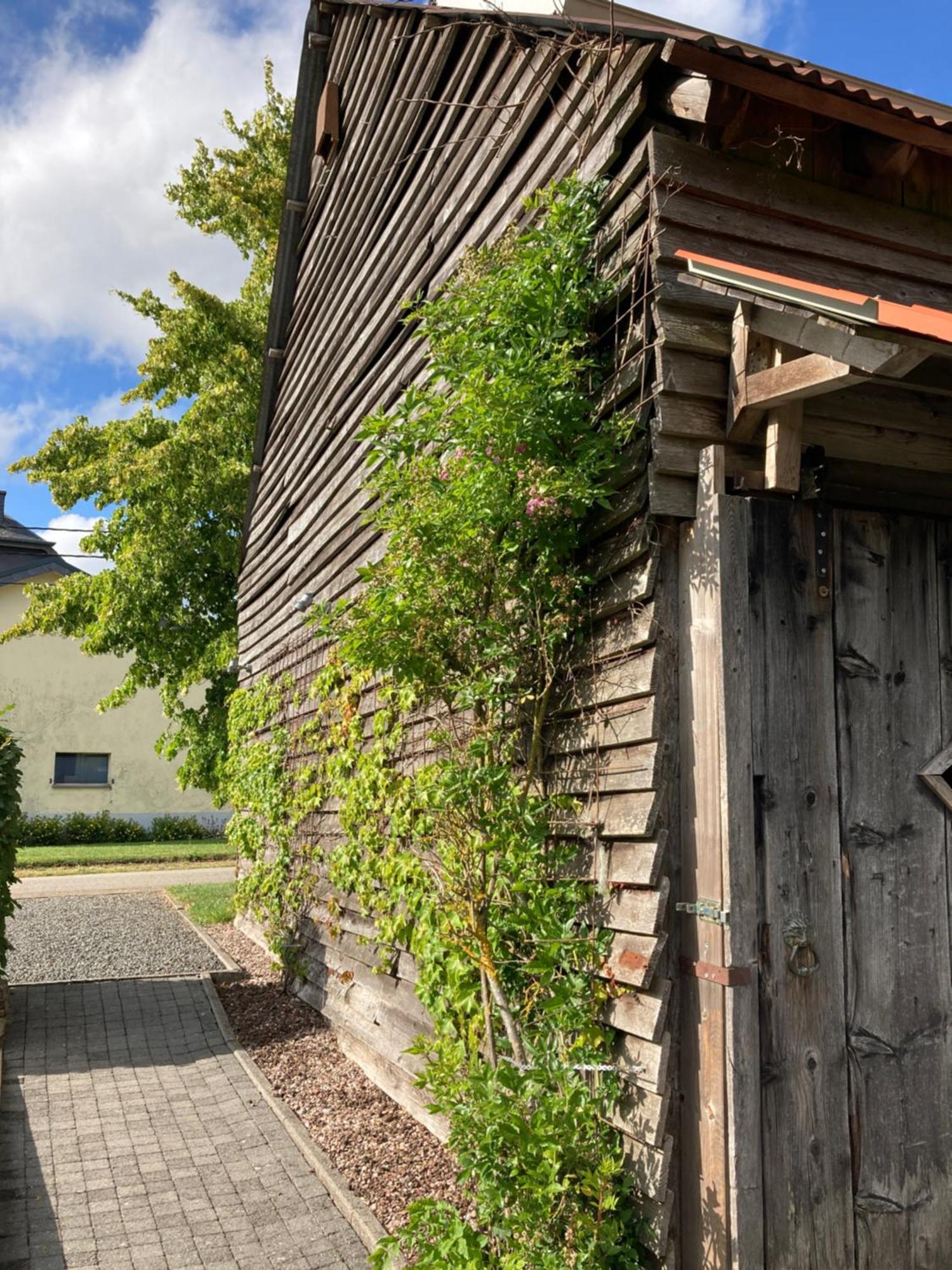 Paulis Cozy 4-Bedroom Vacation Home - With 4 Bathrooms Sun Terrace & Sauna, Nice To Hike & Bike, To Chil & Meet Bullange Exteriér fotografie