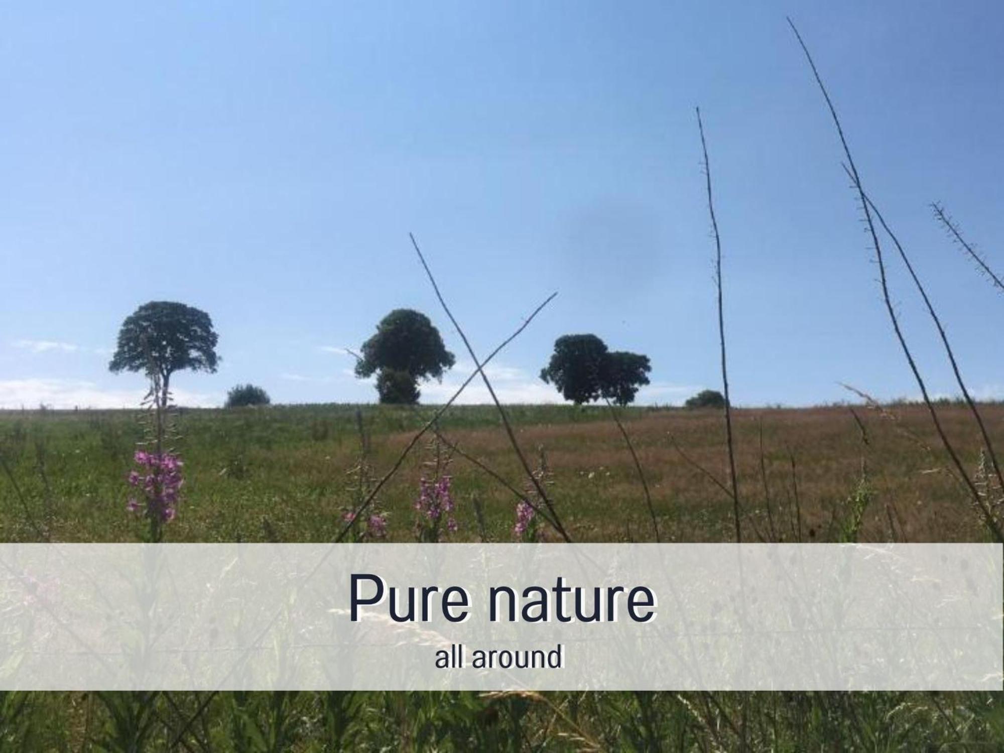 Paulis Cozy 4-Bedroom Vacation Home - With 4 Bathrooms Sun Terrace & Sauna, Nice To Hike & Bike, To Chil & Meet Bullange Exteriér fotografie
